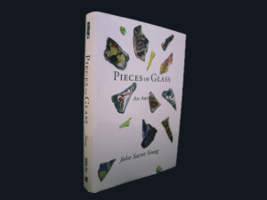 Pieces of Glass book